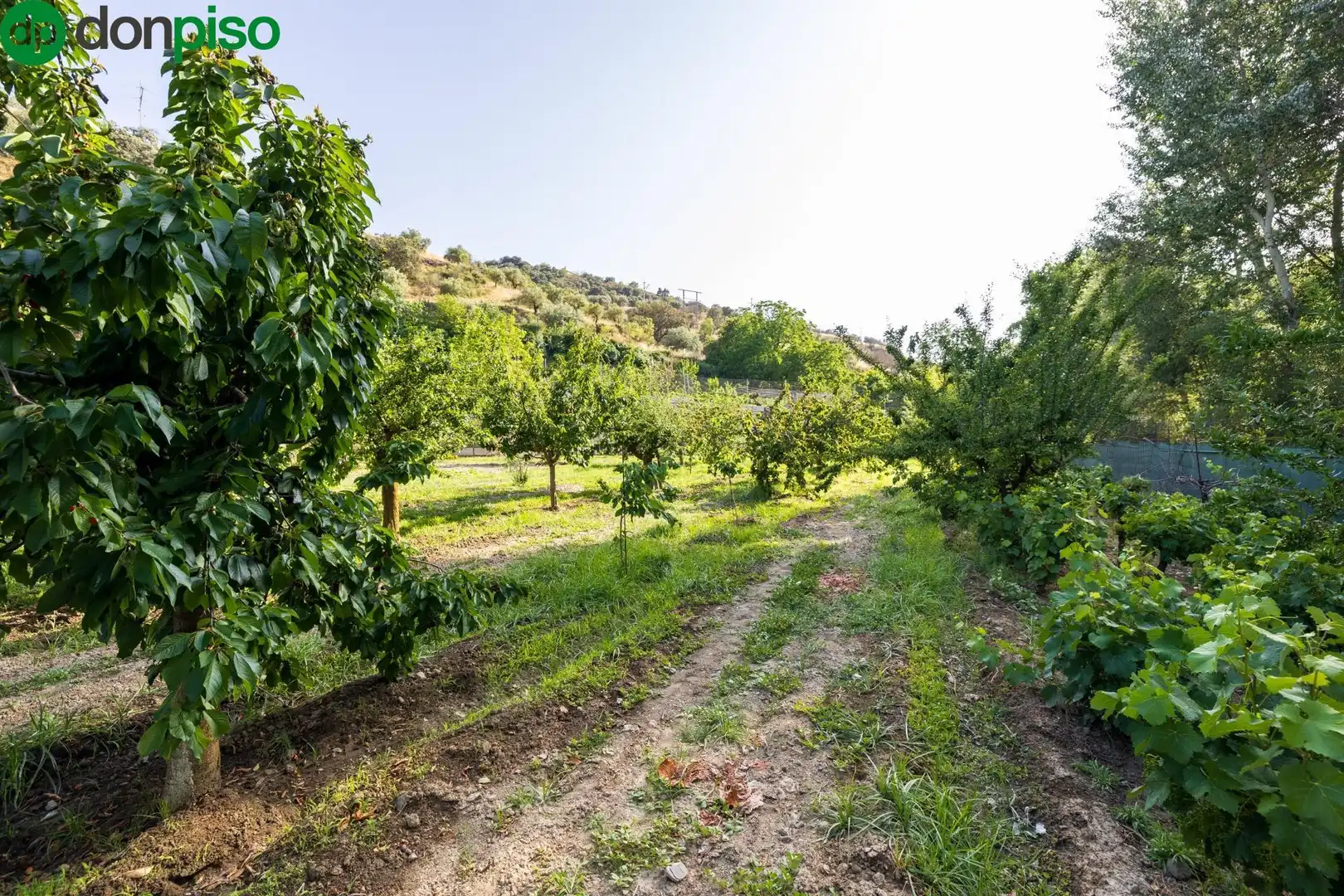 Terreno en venta en Paseo Paseo Duquesa, Pinos Genil