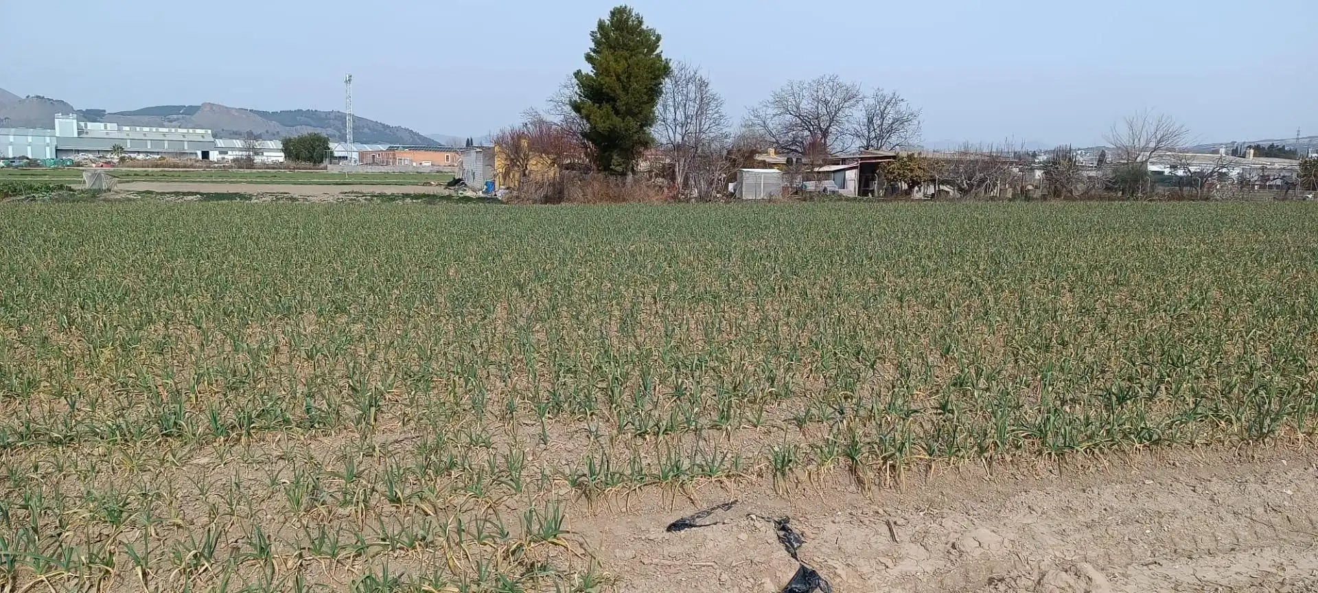 Country house zum Verkauf in Maracena