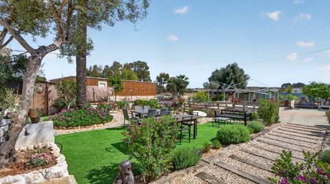 Photo 3 of Houses for sale in San Francisco de Asis, -1, Los Arenales del Sol, Elche / Elx