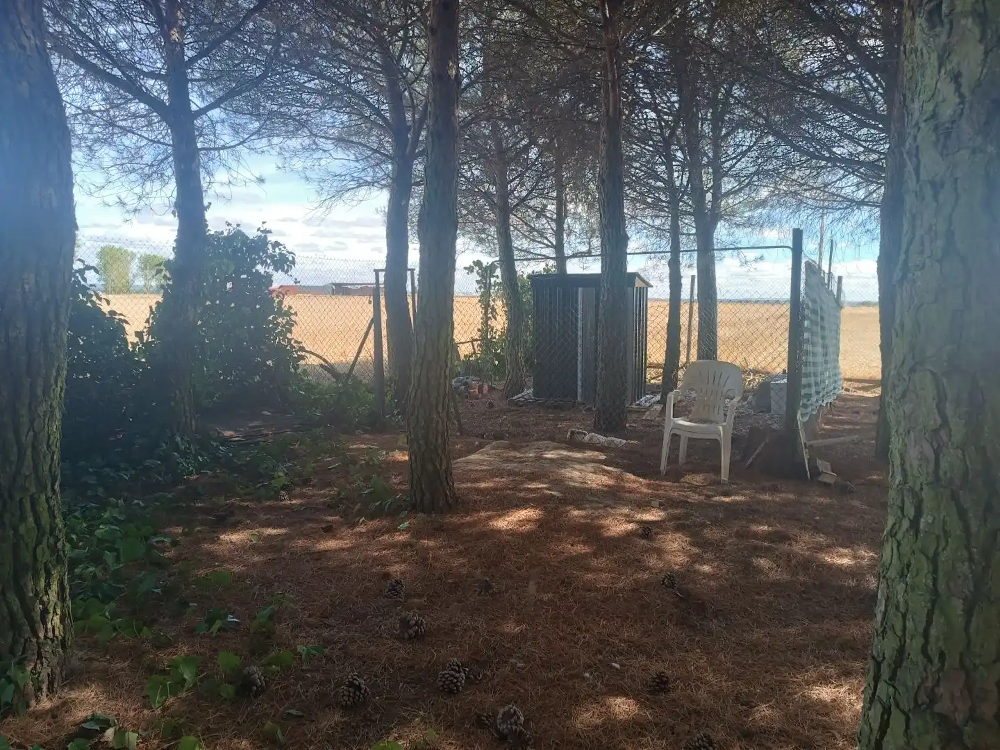 Casa o xalet en venda en Villarrabé, Palencia