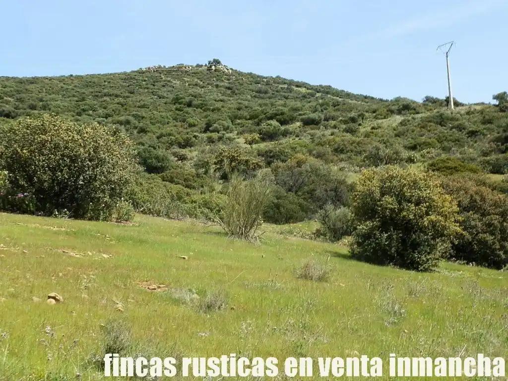 Rural land for sale in Calzada de Calatrava, imagen 27