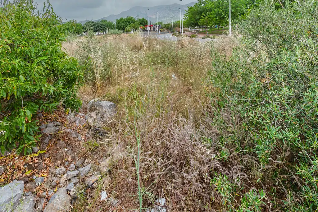 Terreny residencial en venda a Avenida Jaime I 30, imagen 15