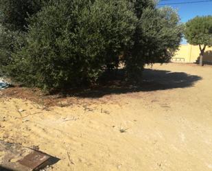 Casa o xalet en venda en Chiclana de la Frontera amb Aire condicionat i Jardí privat