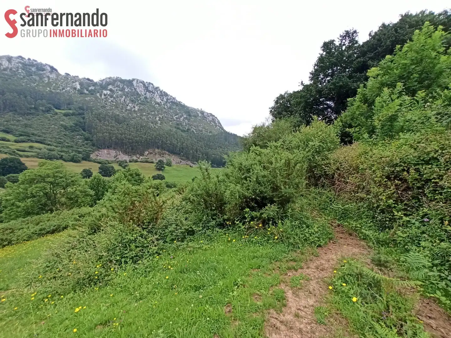 Terreni e lotti in vendita a Puente Viesgo, imagen 4