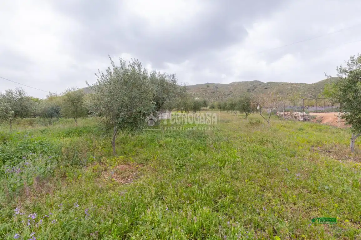Finca rústica en venda en Cantoria