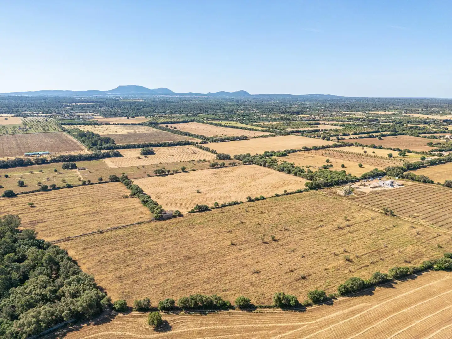 Rural land for sale in Sencelles, imagen 7