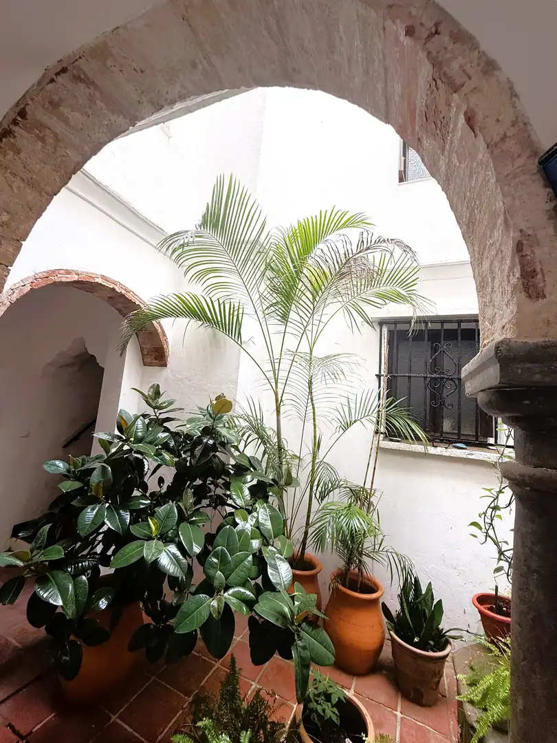 Jardín de Ático en venta en Tarifa con Terraza
