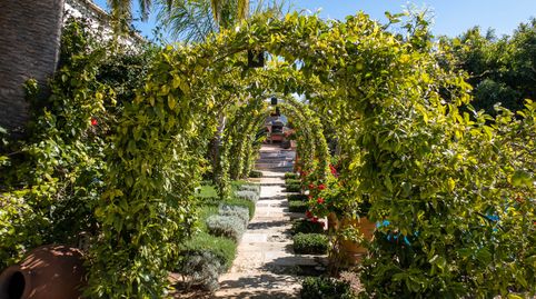 Foto 3 de Finca rústica en venda a Calvià pueblo, Calvià