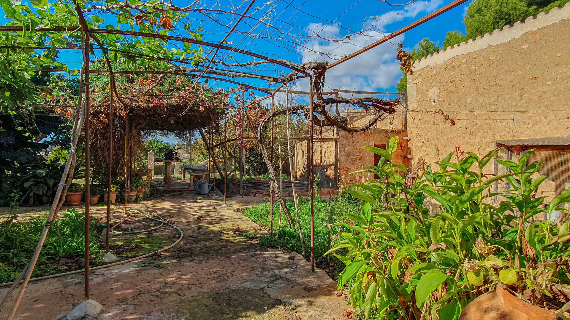 Jardí de Finca rústica en venda en  Palma de Mallorca amb Jardí privat, Terrassa i Traster