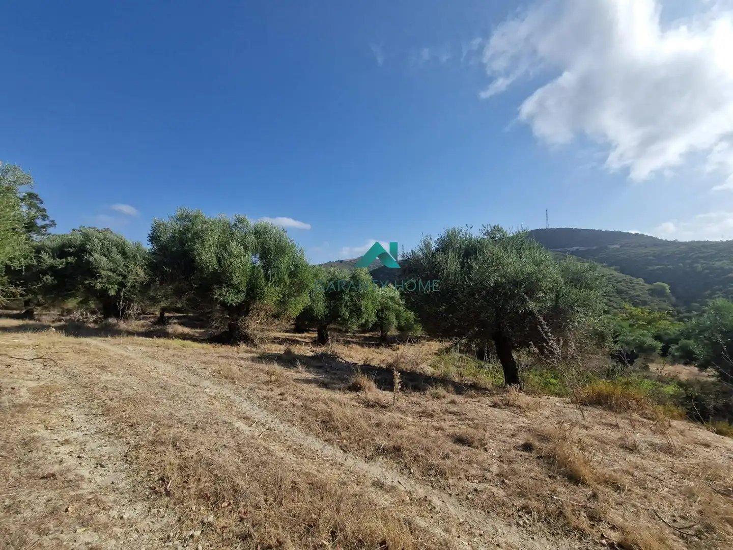 Rural land for sale in San José del Valle, imagen 6