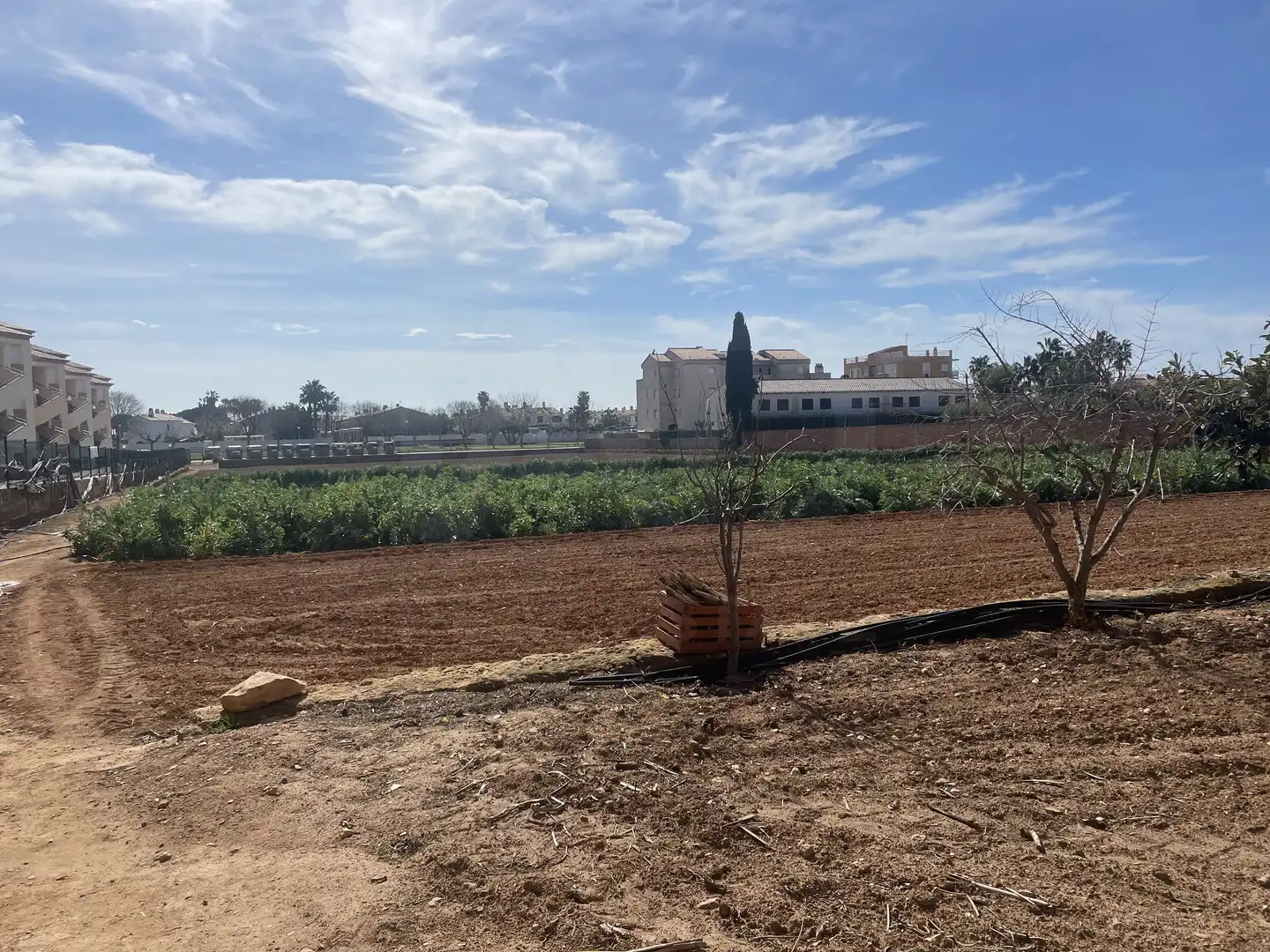Residential land for sale in Marítima Sud, imagen 4