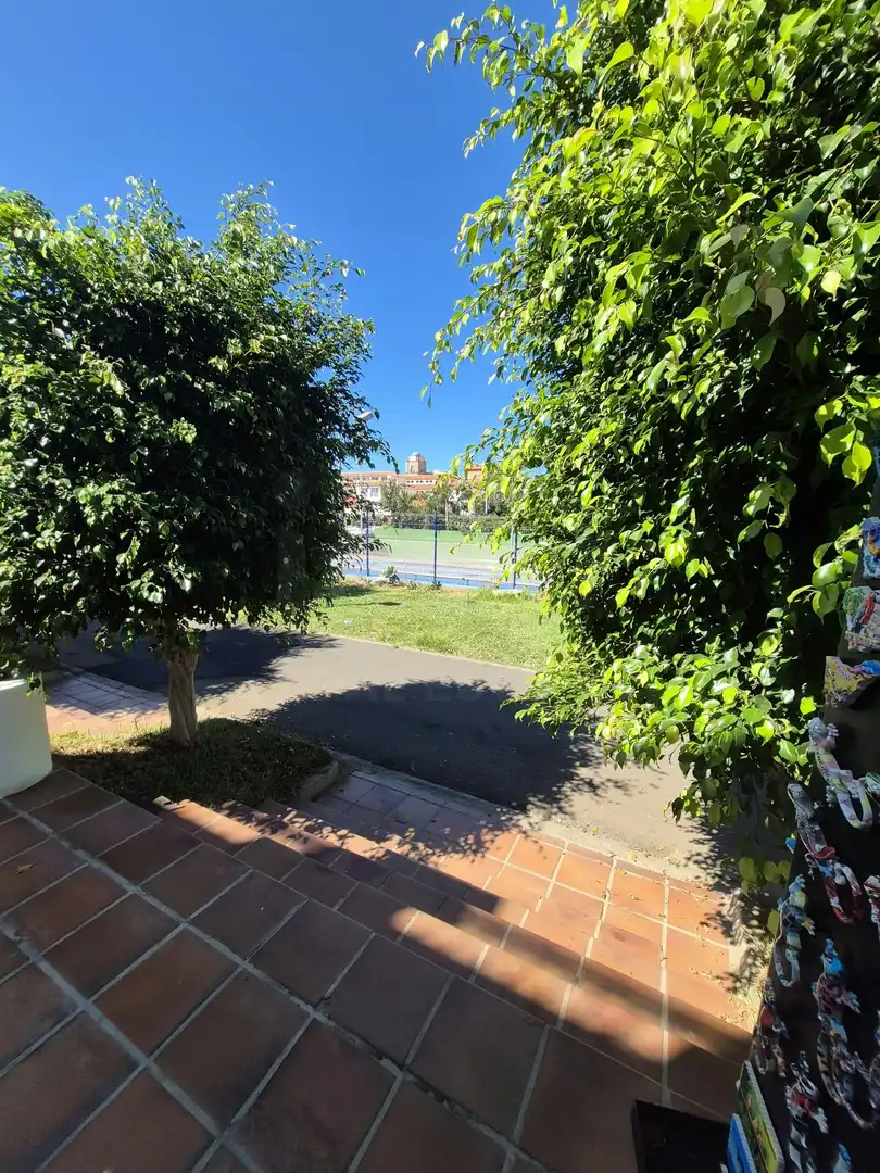 Jardí de Local en venda en Costa Adeje