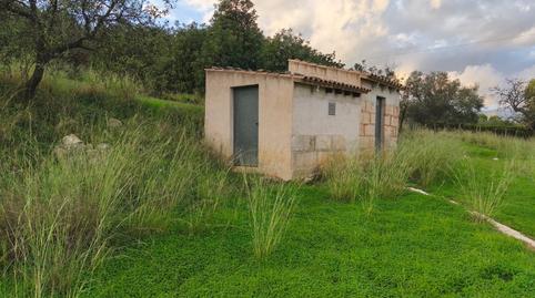 Photo 3 of Country homes for sale in Diseminados Poligono 9, Son Amonda - Reis Catòlics, Inca