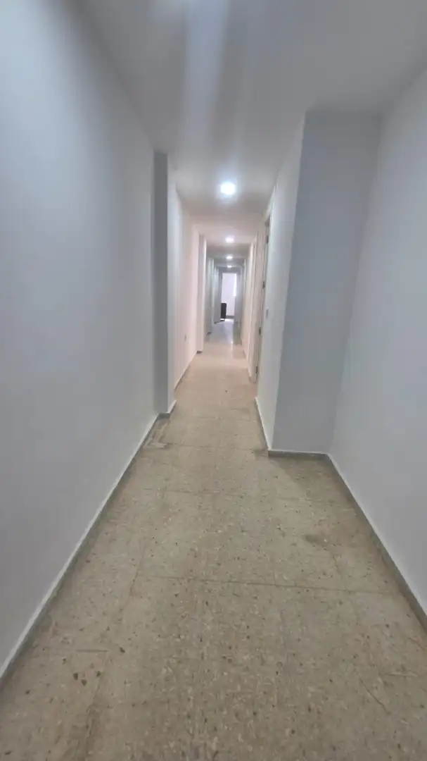 Pis en venda a Pelagio, imagen 5