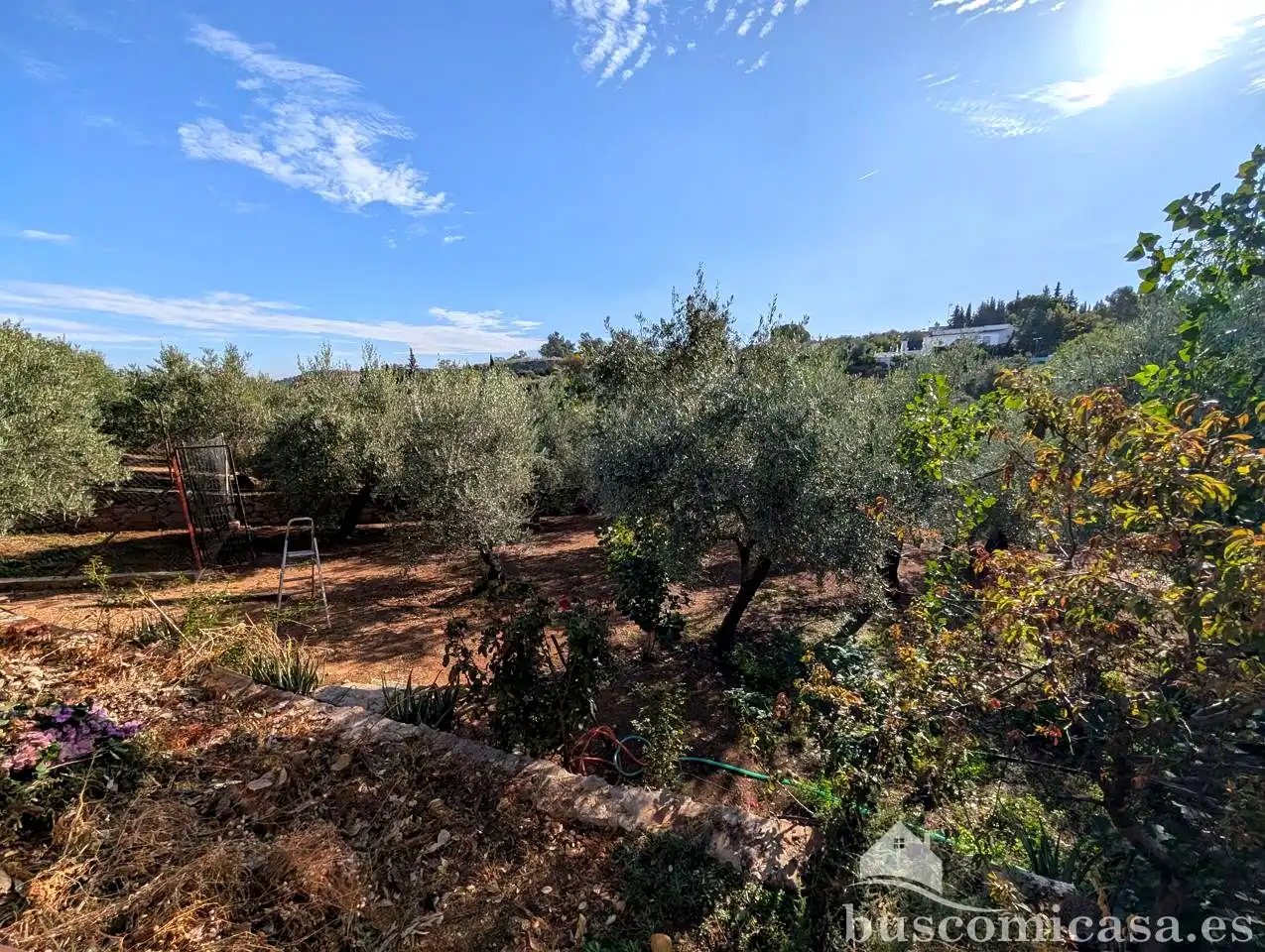 Casa rústica amb piscina en venda a Diseminado Huertos San Roque, imagen 18