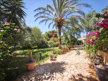 Casa rústica amb jardí en venda a Ctra Sanlúcar - Cuatro Pinos