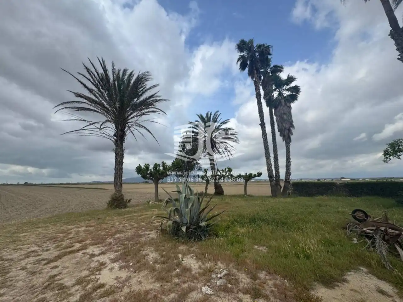 Casa o chalet en venta en Amposta con Jardín privado, Terraza y Amueblado