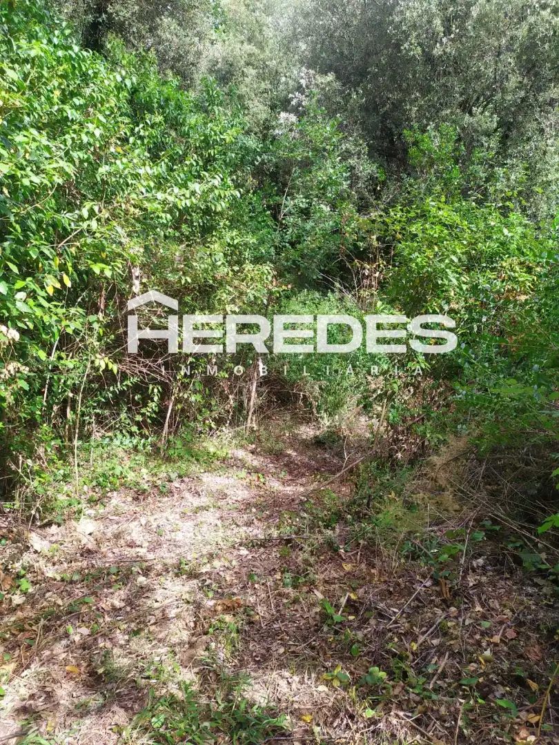 Terreno residencial en venta en Carrer Finestrelles 8, imagen 11
