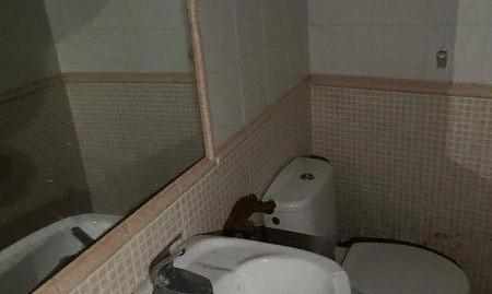 Foto 4 de Finca rústica en venda a Llorenç del Penedès, Tarragona