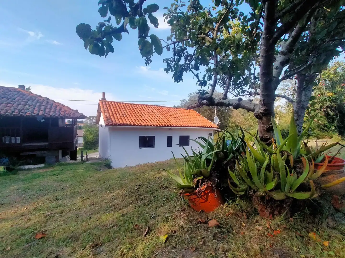 Jardín de Finca rústica en venta en Cudillero con Jardín privado y Trastero