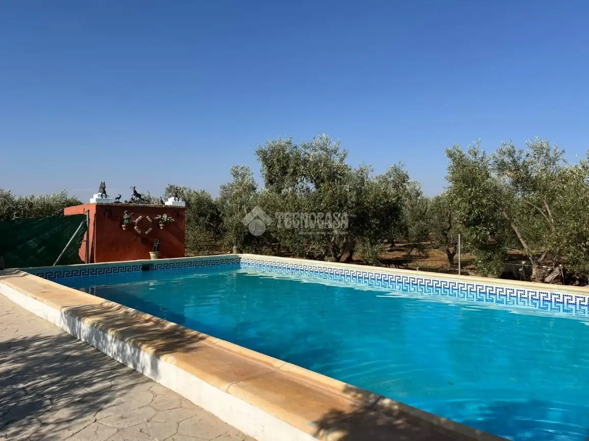 Maison rustique à vendre à Carmona, imagen 15