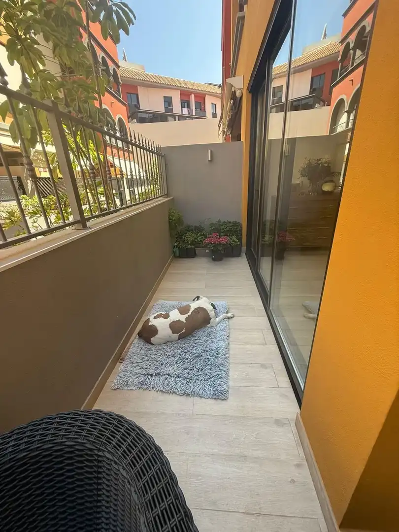 Terrassa de Apartament en venda en Adeje amb Moblat i Piscina comunitària