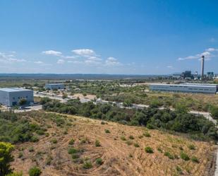 Land for sale in Alcúdia