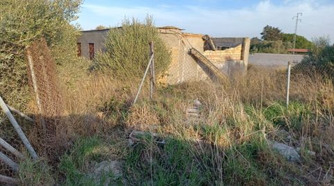 Foto 3 de Terreno en venta en Camino Molino de Cafe, La Soledad, Chiclana de la Frontera
