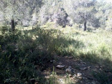 Terreny residencial en venda a La Bisbal del Penedès