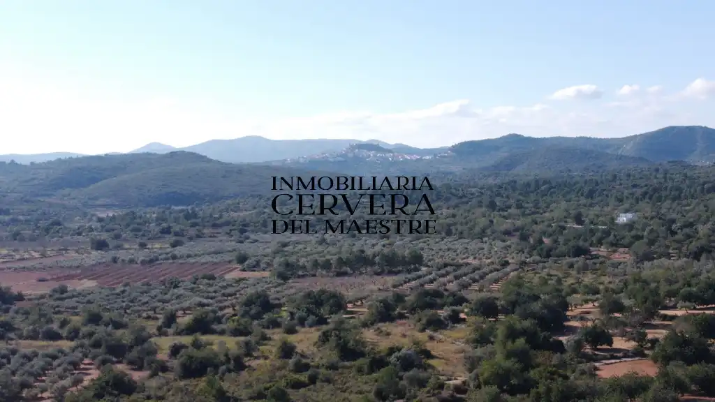 Terreno rustico in vendita a Cervera del Maestre, imagen 12