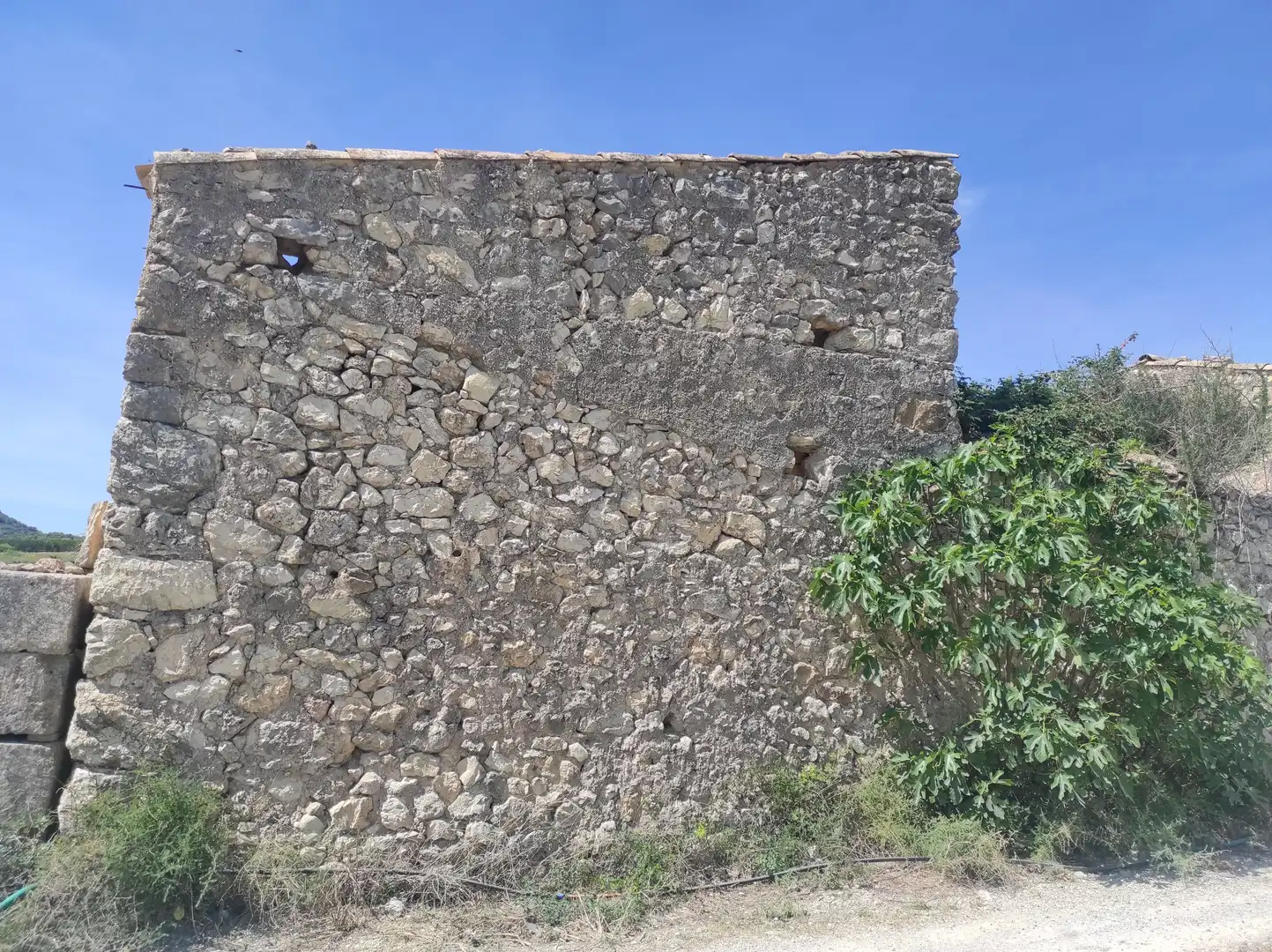 Vista exterior de Finca rústica en venta en Sineu