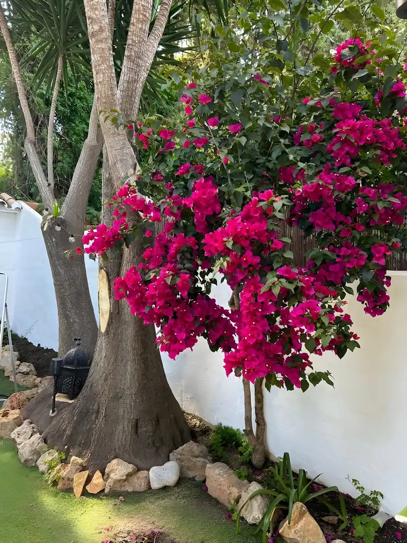 Adossat amb jardí en venda a Nueva Andalucía, imagen 15
