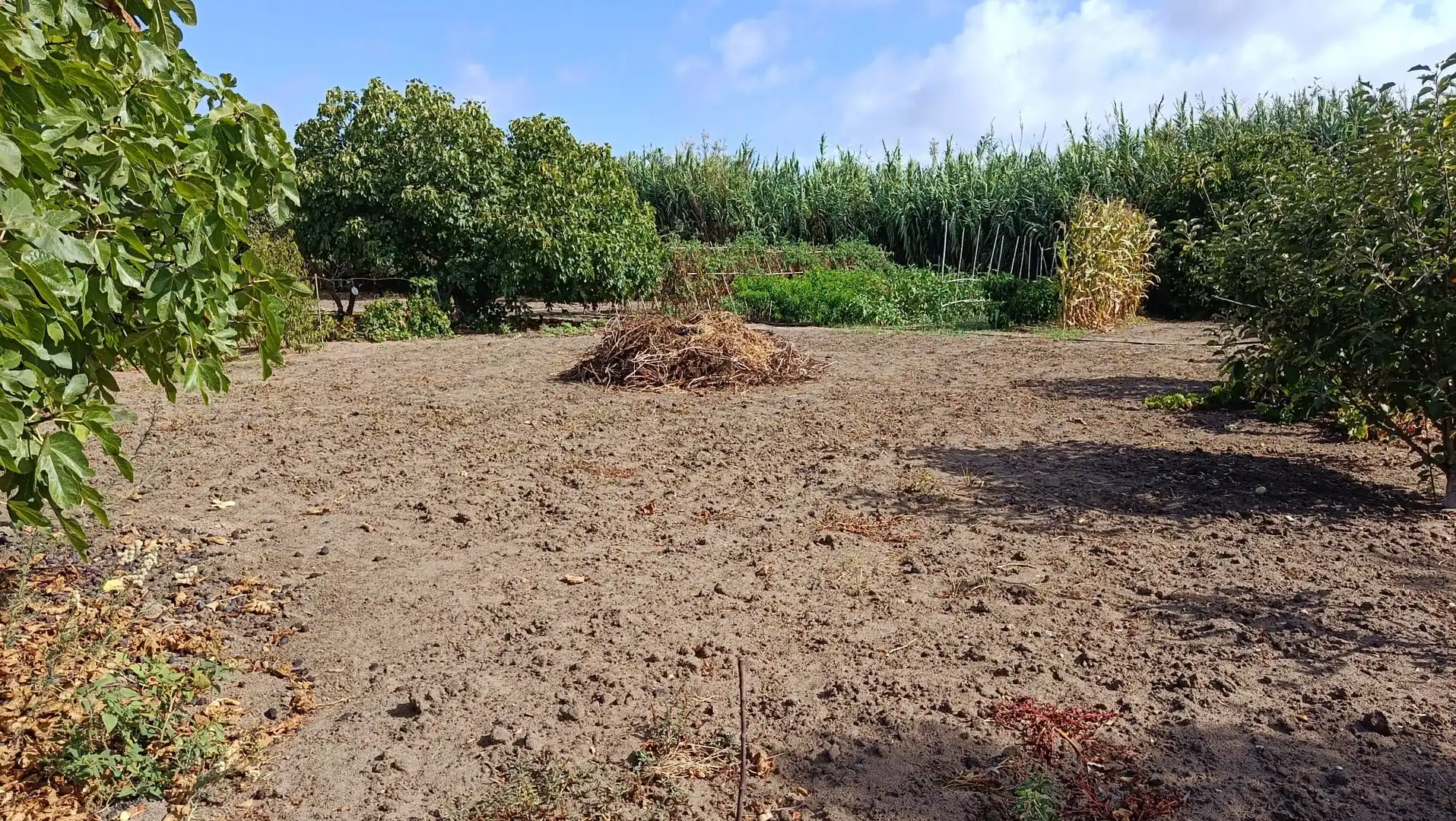 Terreno en venta en Rota