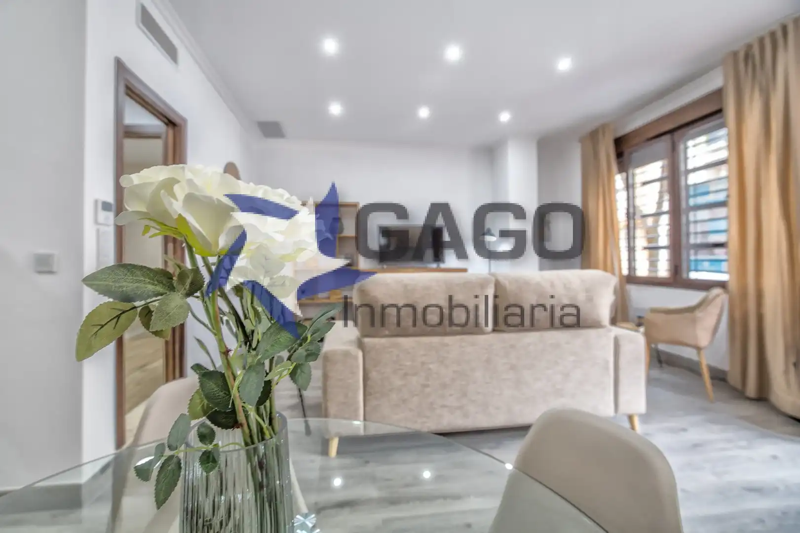 Estudio de alquiler en Santa Rosa - Valdeolleros