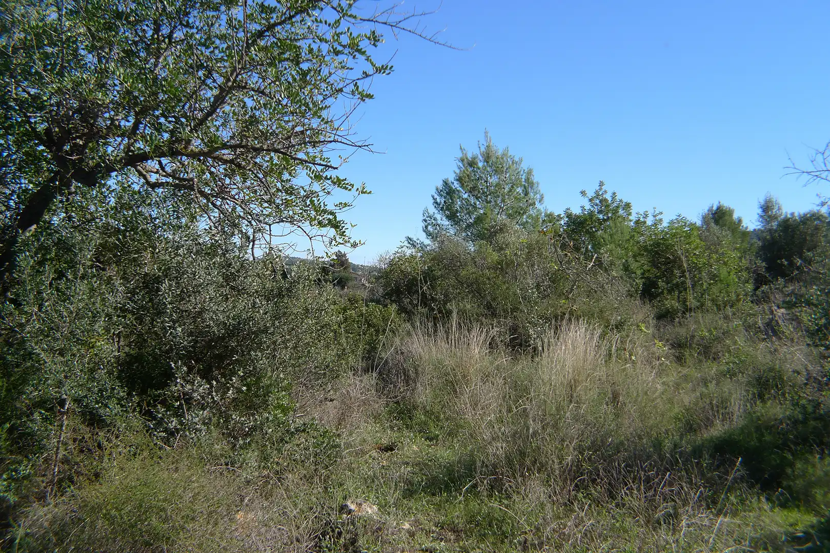 Terreny residencial en venda a Xaló, imagen 5
