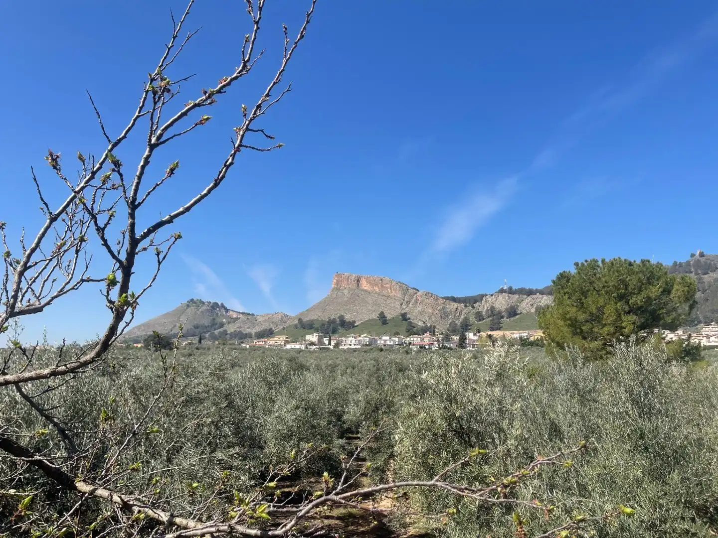 Finca rústica en venda en Albolote amb Piscina