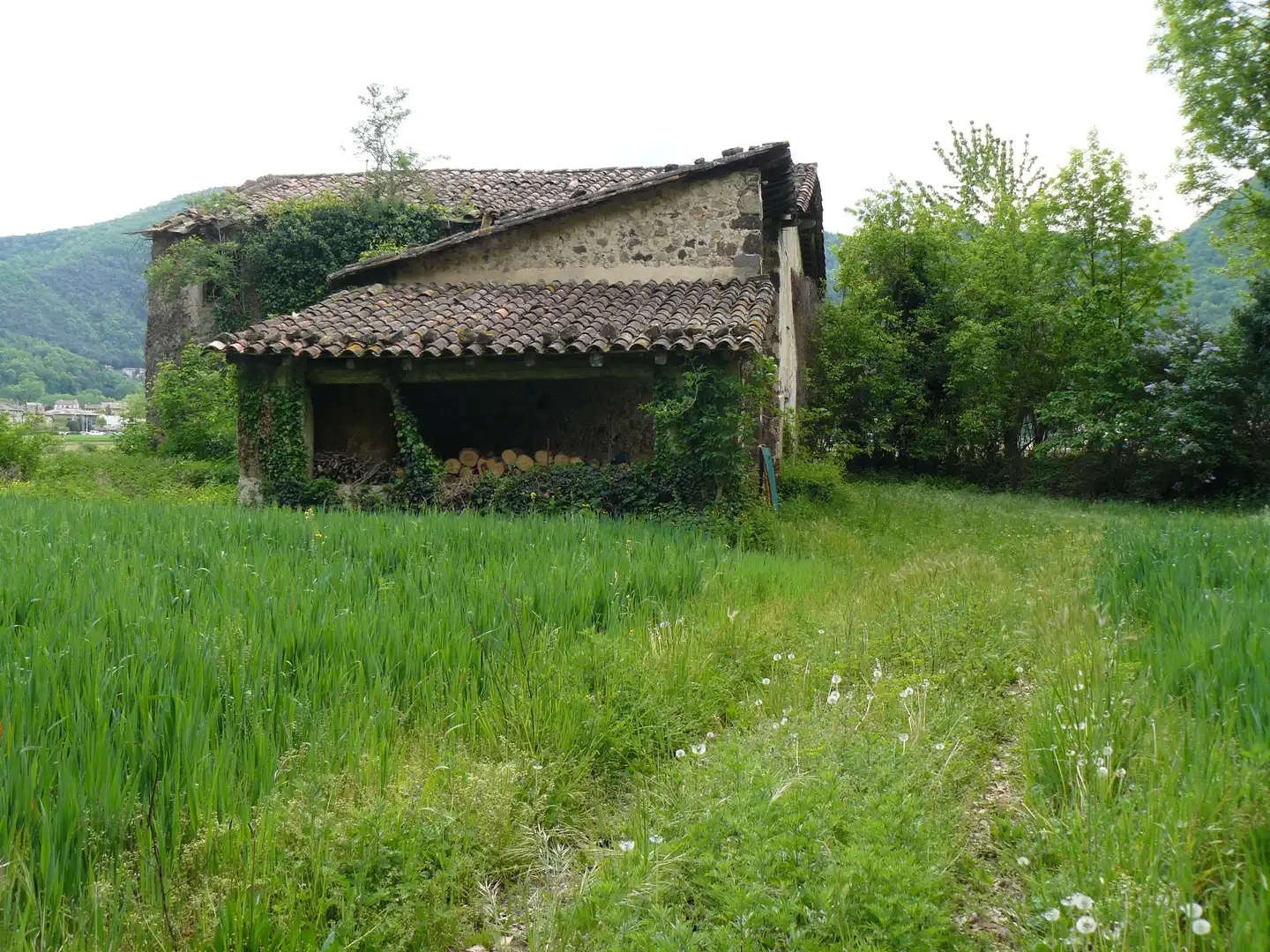 Jardín de Finca rústica en venta en Les Preses