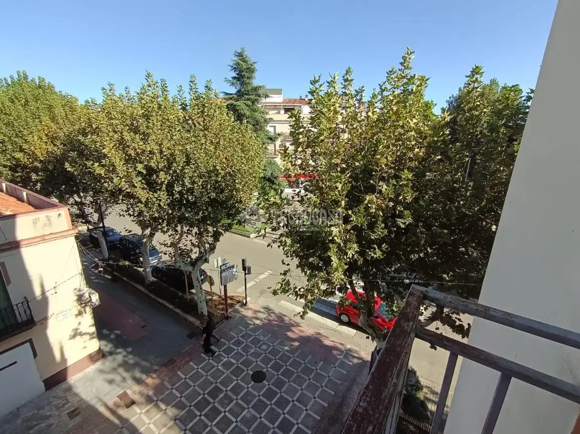 Piso en venta en La Carolina, Jaén