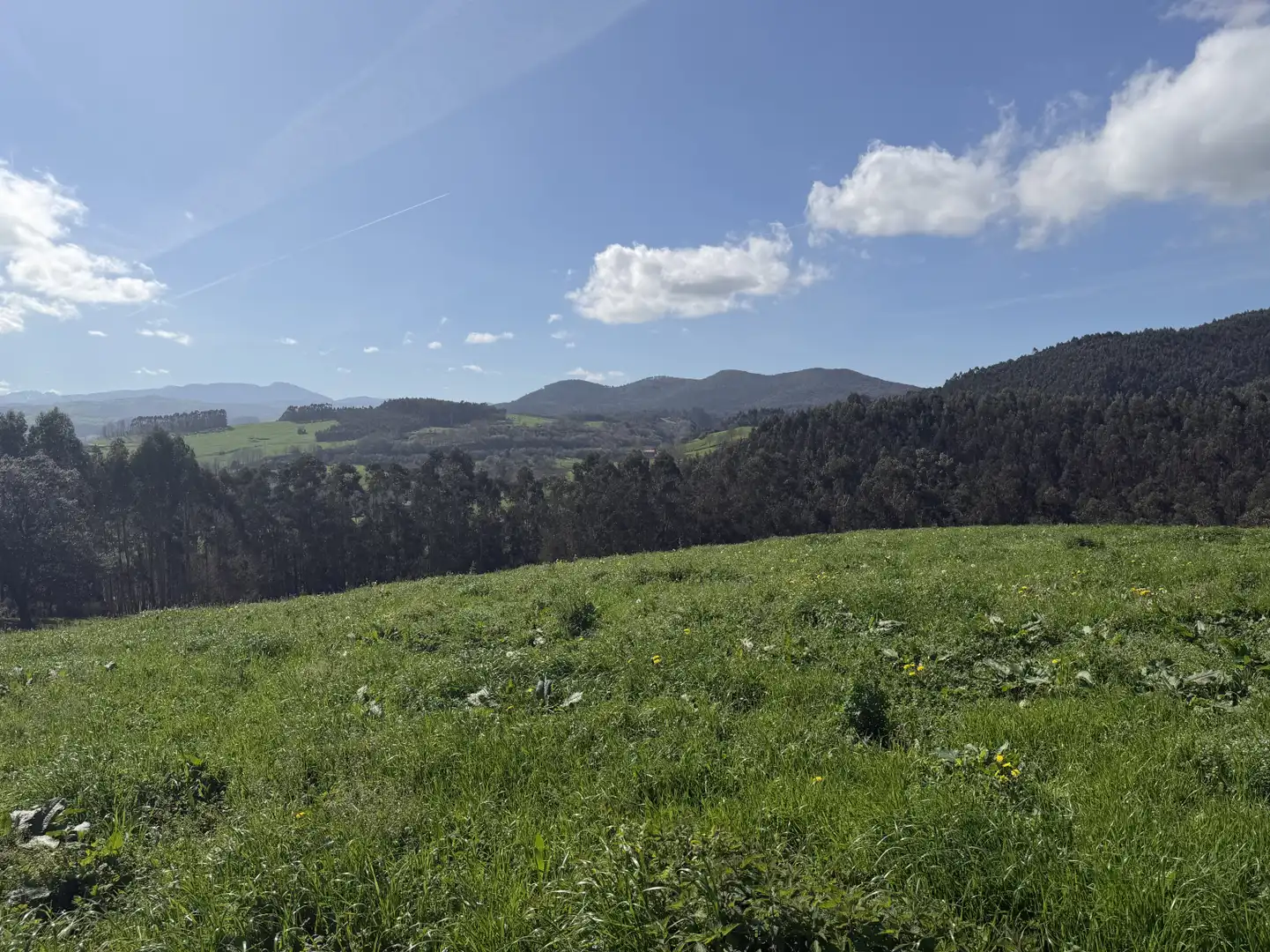 Casa o xalet en venda en Hazas de Cesto