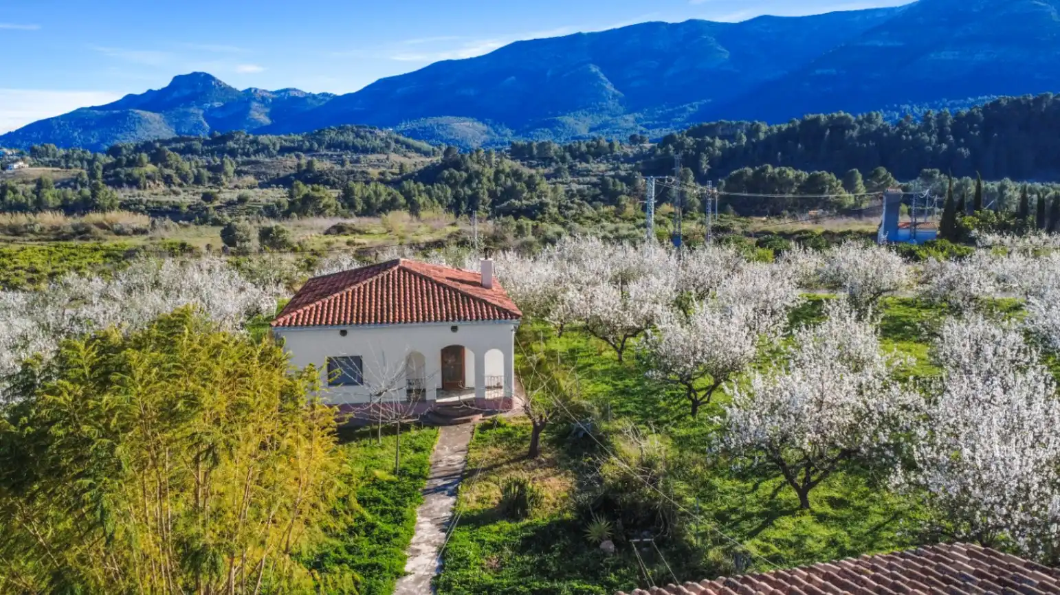 Maison rustique avec jardin à vendre à Murla, imagen 20