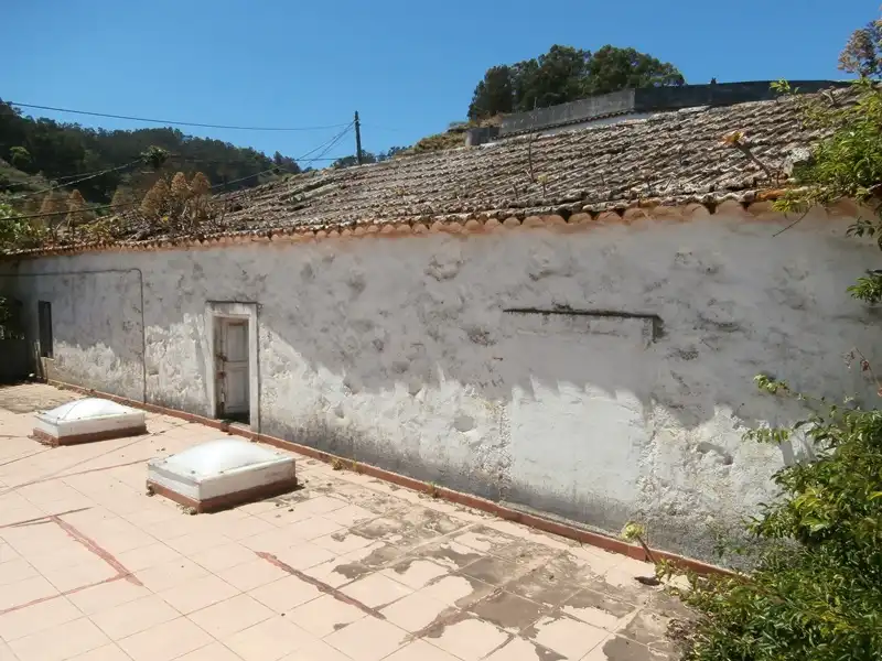 Vista exterior de Finca rústica en venta en Moya (Las Palmas)