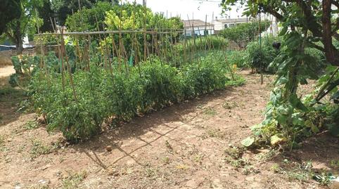 Photo 4 of Residential for sale in Son Roca, Illes Balears