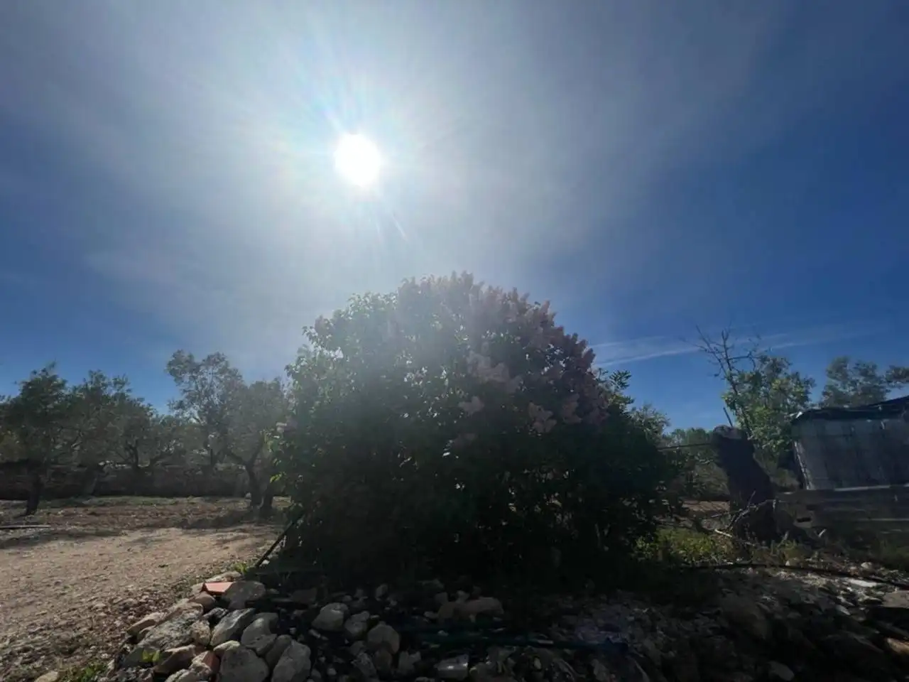 Chalet con jardín en venta en Calle Poligono, imagen 148