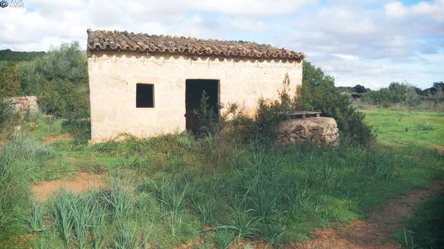 Terreno en Venta en Marratxinet