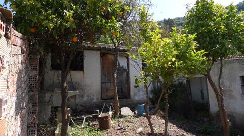 Foto 2 de Finca rústica en venta en Sayalonga, Málaga