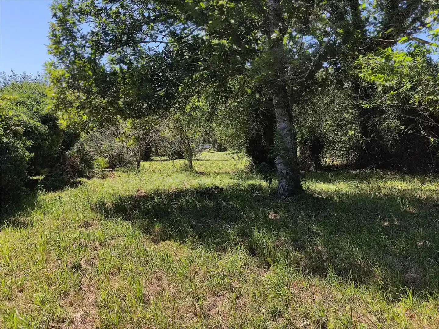 Casa o xalet en venda en A Baña  