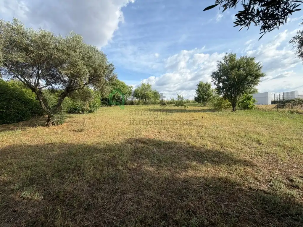Casa o xalet en venda en Badajoz amb Aire condicionat, Jardí privat i Piscina