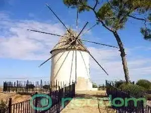 Casa en venda a Torre-Pacheco ciudad, imagen 13