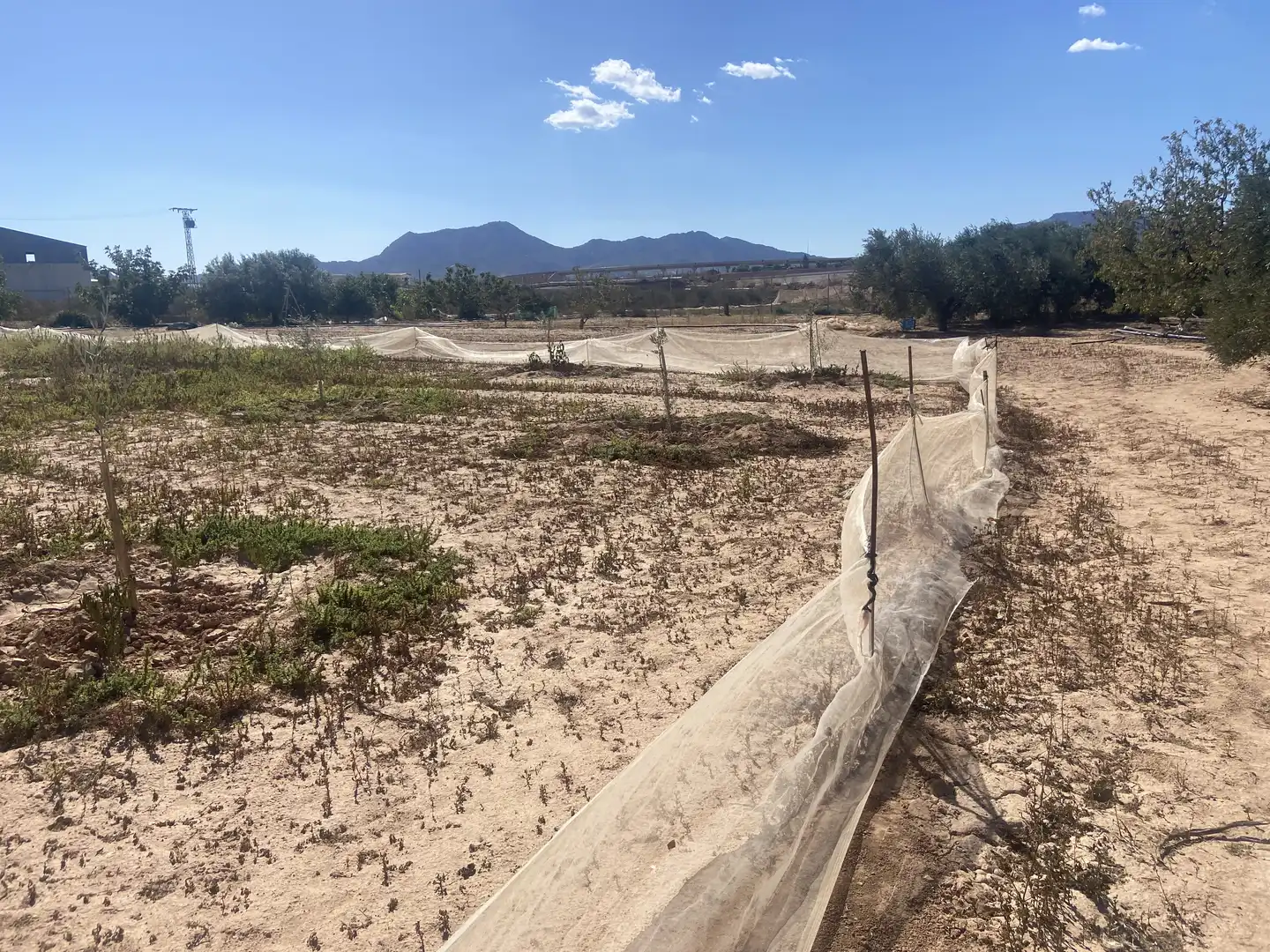 Land for sale in Cartagena