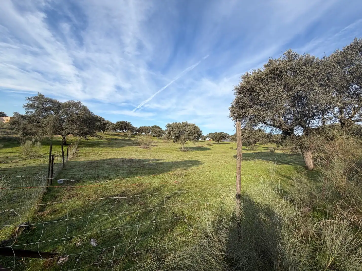 Land for sale in Serradilla
